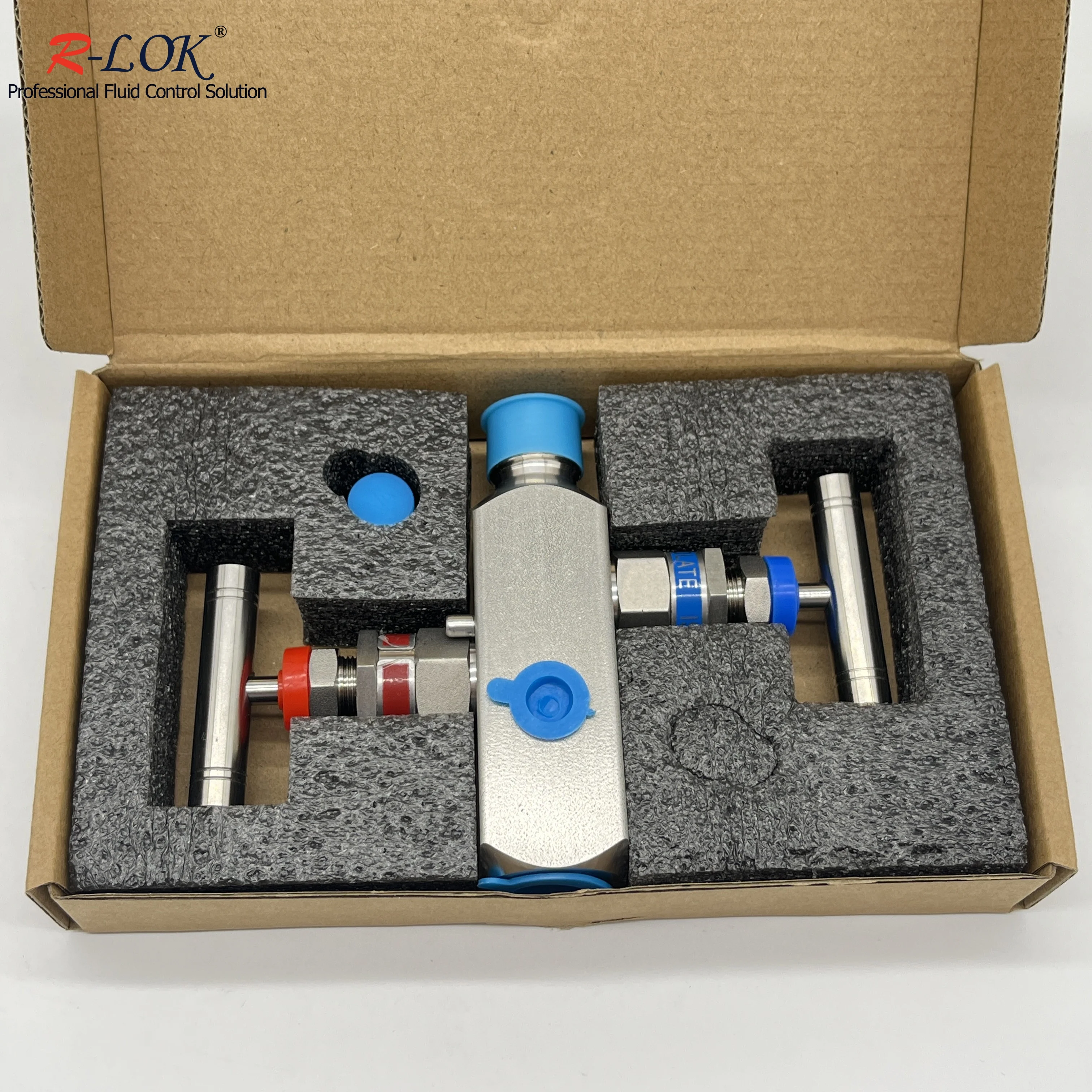 Double Block and Bleed Valve Gas Flow Gauge Valve Instrumentation Stainless Steel 2 Way Block and Bleed Valve Manifolds