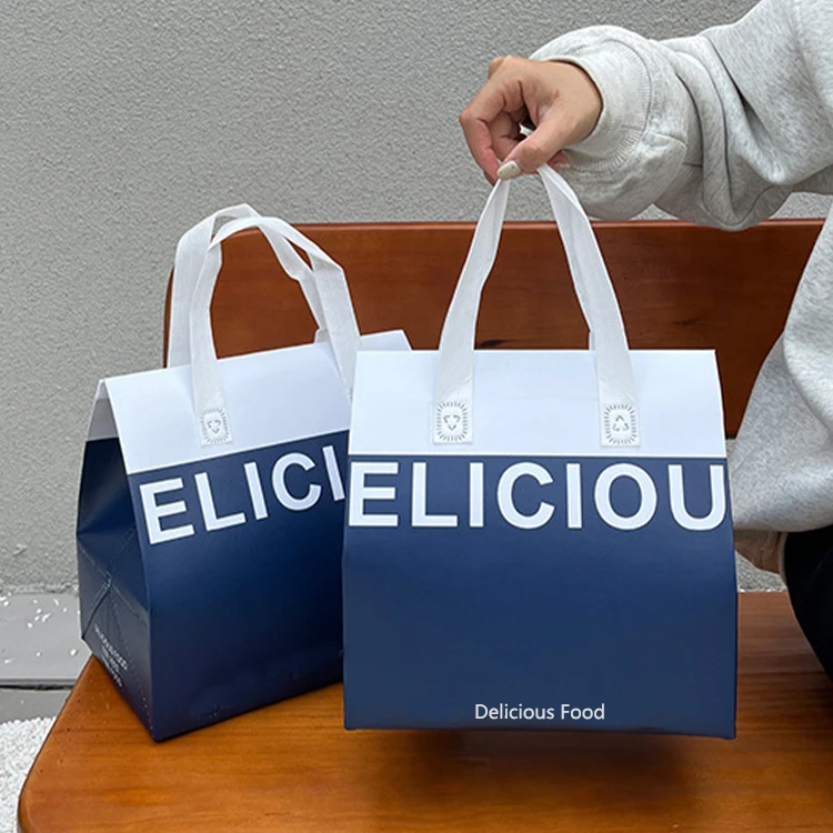 Disposable cooler bag (1).jpg