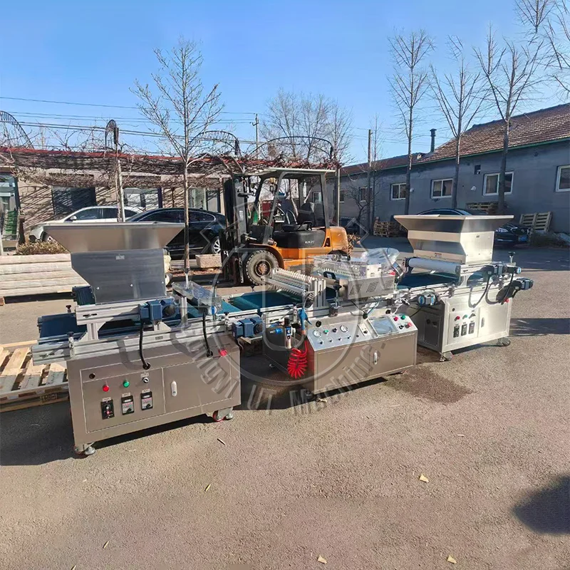 Row Seeder Tray Seeder Machine for Seedlings Seeds Pumpkin Watermelon Cucumber Tomatoes Onion