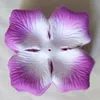 Purple white