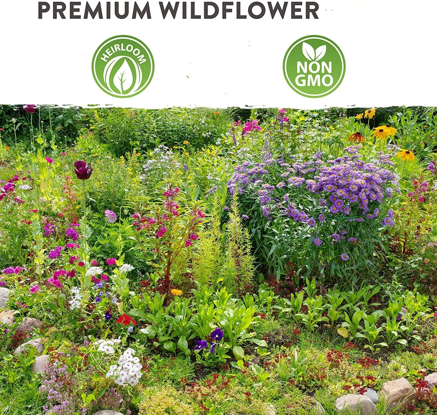 Garden plant ideas – 10 easy steps to know what plants to put in your garden  | Real Homes, image size:1500x1424