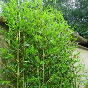 Wholesale Plastic Bonsai Indoor Decor Fake Bamboos Leaves Plant for Sale Artificial Bamboo Tree