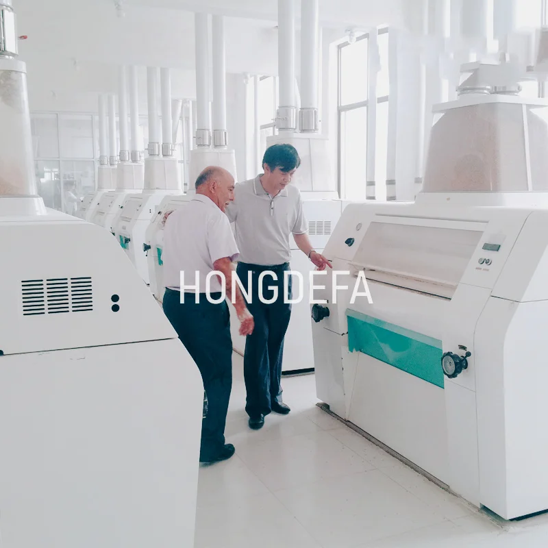 Maize Flour Milling Machine Flour Maiz Corn Mill Price with Branch Office in Uganda Zambia Ethiopia