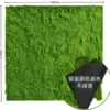 Light-colored fuzzy moss