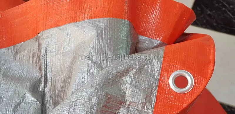 QQ20191009164316_.jpg