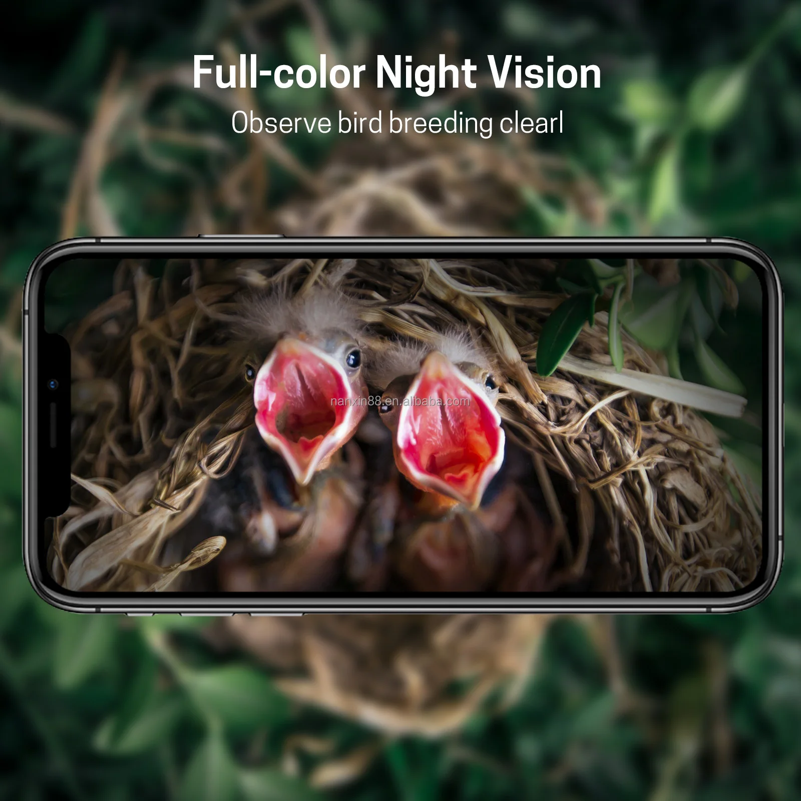 Smart AI Bird House - Nanxin Camera Birds Nest for Garden