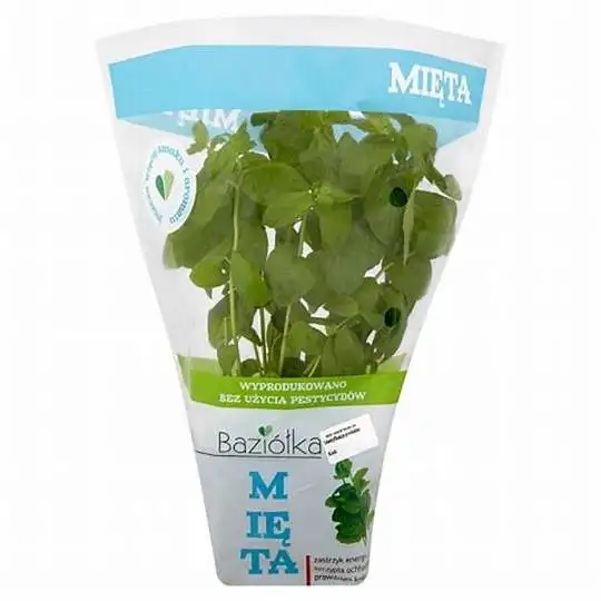 Plastic micro perforated transparent herb basil lettuce bag for vegetables