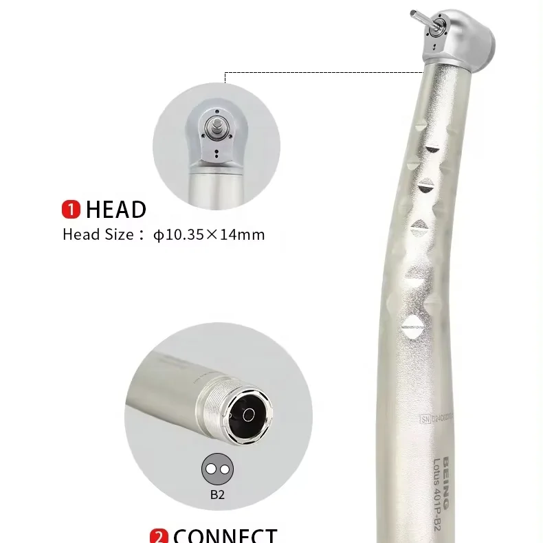 Dental Handpiece High Speed Turbine Antiretraction 4 Holes And 2 Holes Free Sample Bering