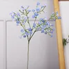 52067 blue