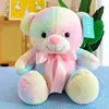 Rainbow bear
