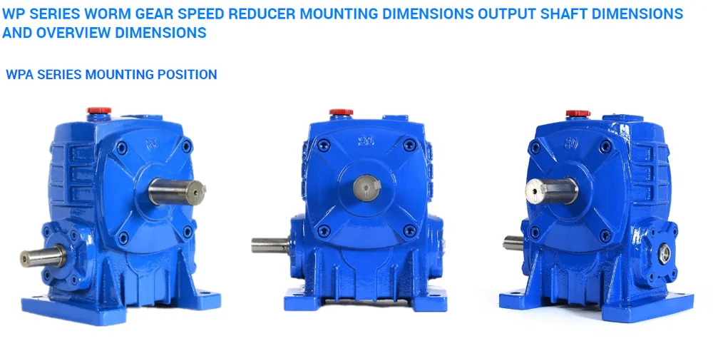 Professional WPA WPS WPO WPX 40-250 Series Worm Gear Reducer