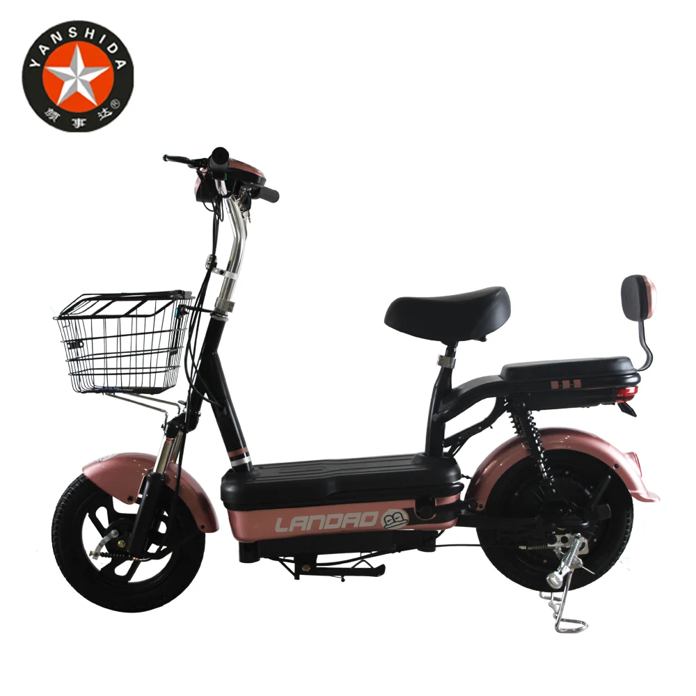 electric bike body manufacturers