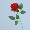 Rosso brillante