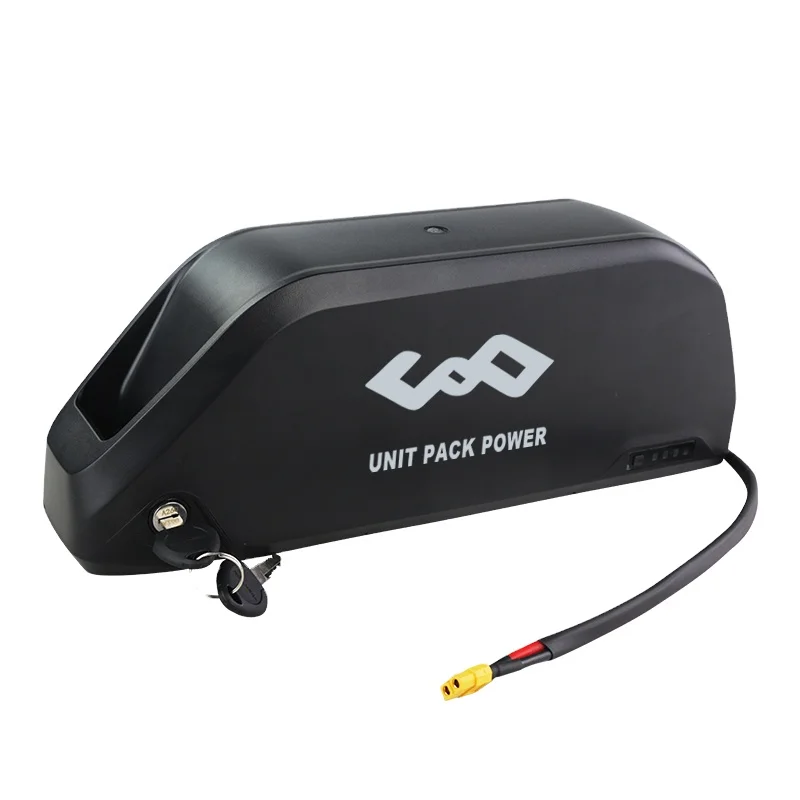 High Power Jumbo Shark 48V 20Ah Battery Electric Bike 48V 1000W Hailong  Battery With ICR1865029E Cells - Main Image