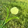 Giallo fluorescente