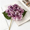 Pourpre