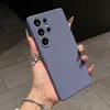 Lavender Gray