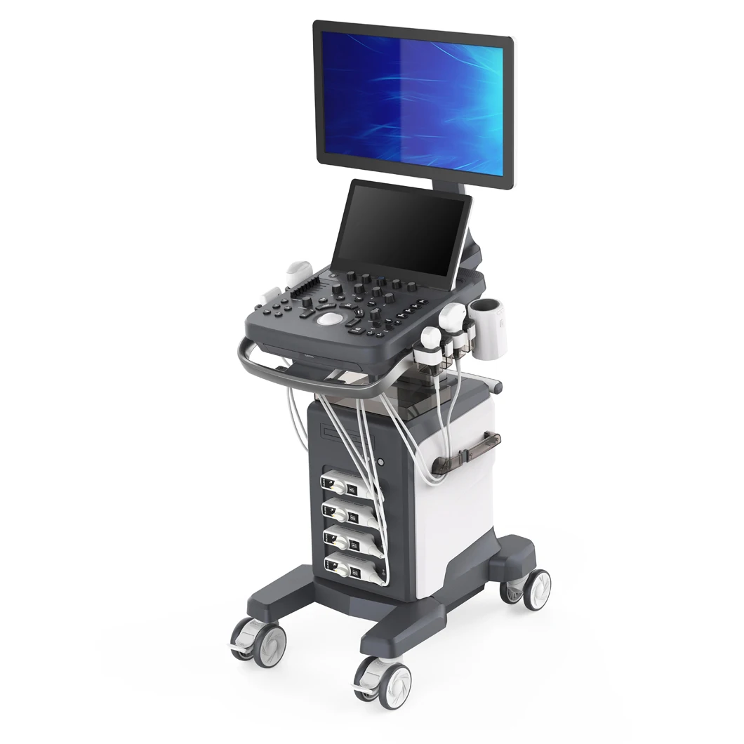 High Quality 13.3 Inch Touch Screen 4D Trolley Color Doppler Ultrasound Ultrasound Machine factory