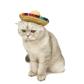 Straw Sombrero Cat Hat