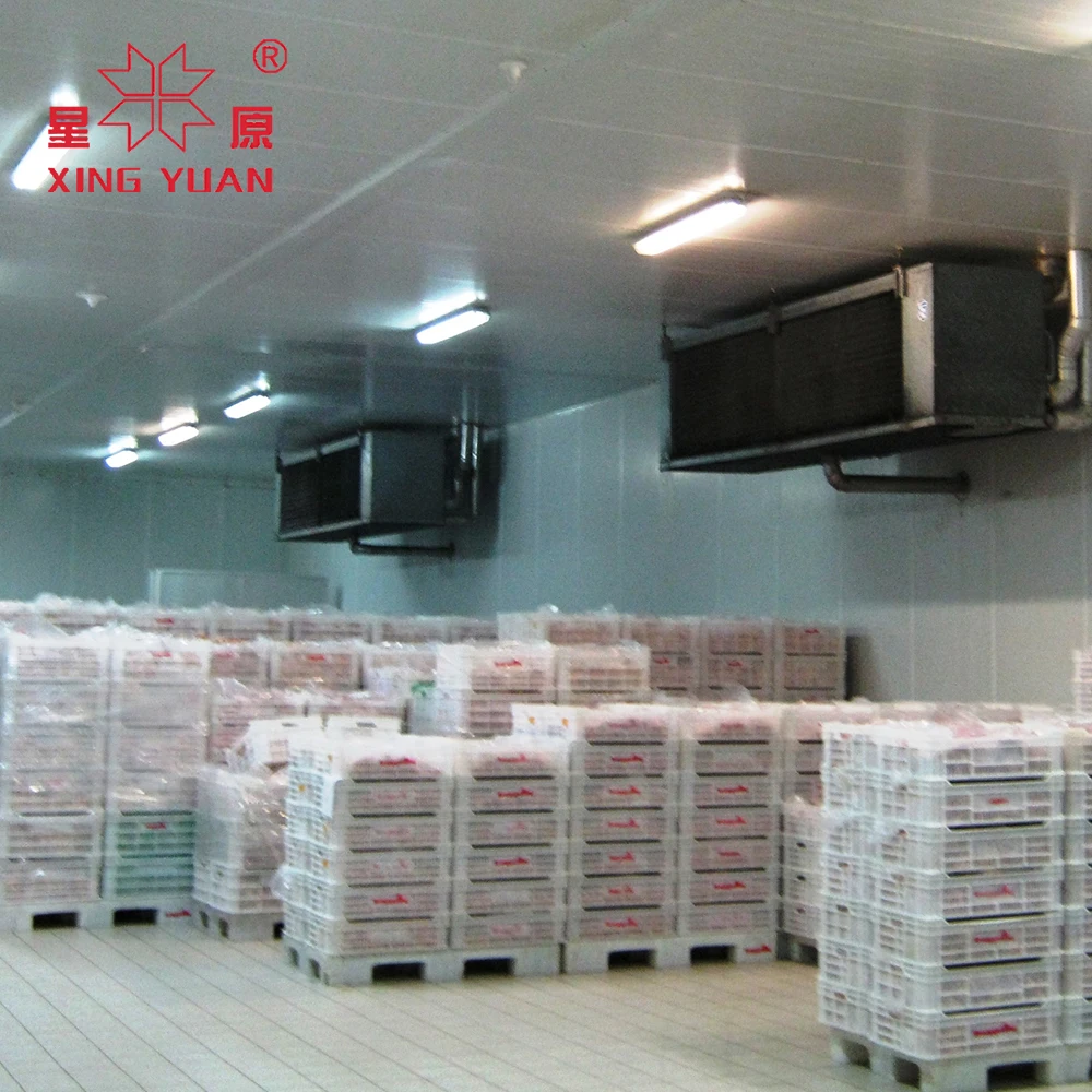 Cold Storage Room  Freezer Cold Room Manufacturer Cold Storage 1000 Ton Capacity