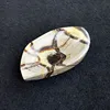 Septario