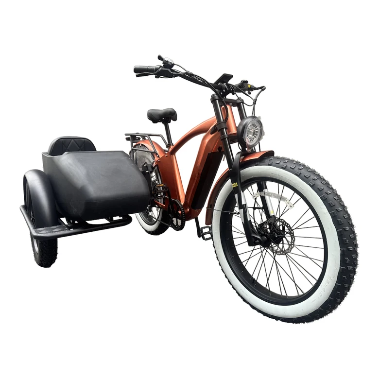 Side Car Fat Pedelec Retro E-Bike with 250w Motor