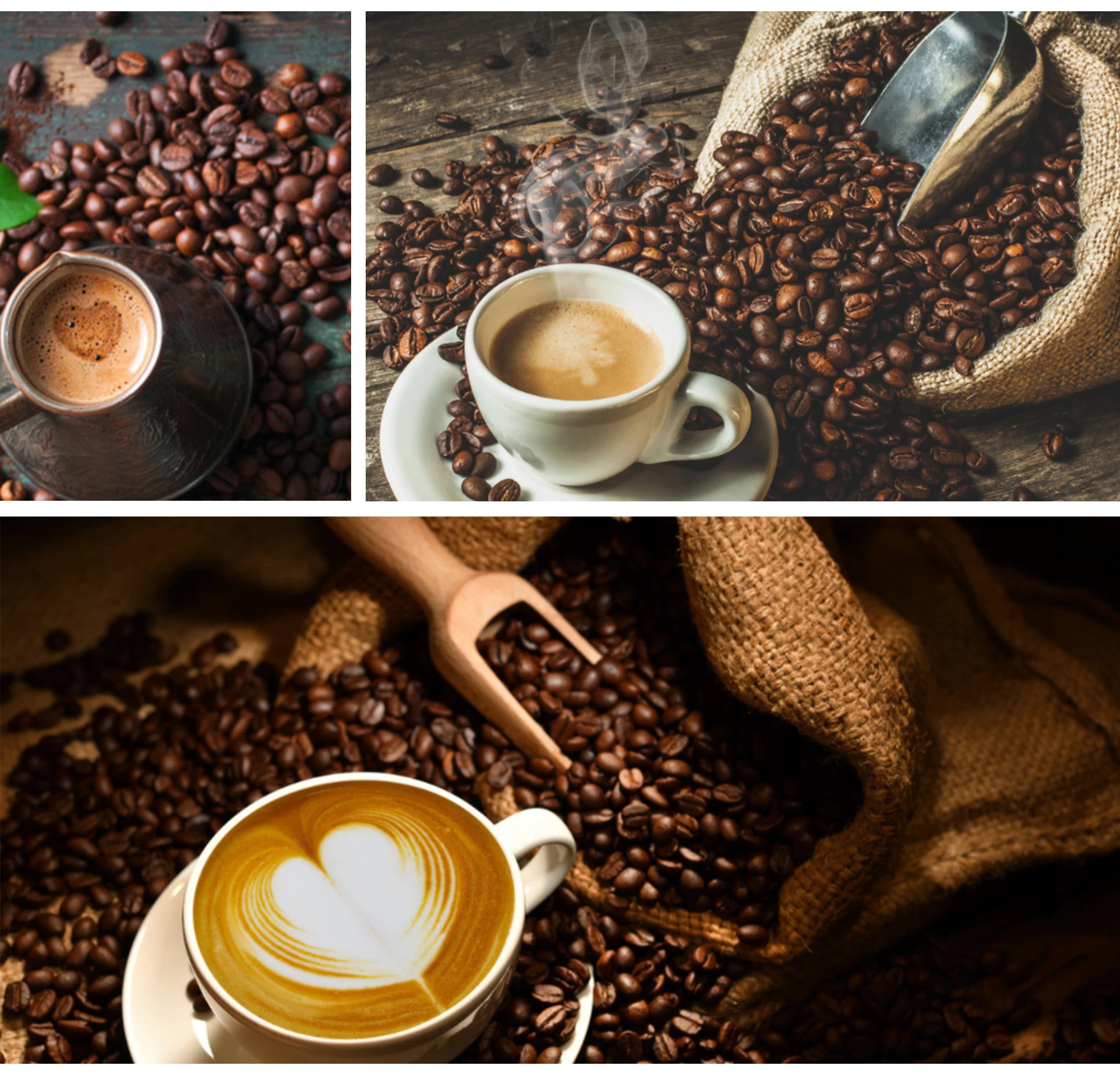 Mini Coffee Baking Machine Espresso Coffee Making Machine Electric 400g Capacity Roaster for Home Use