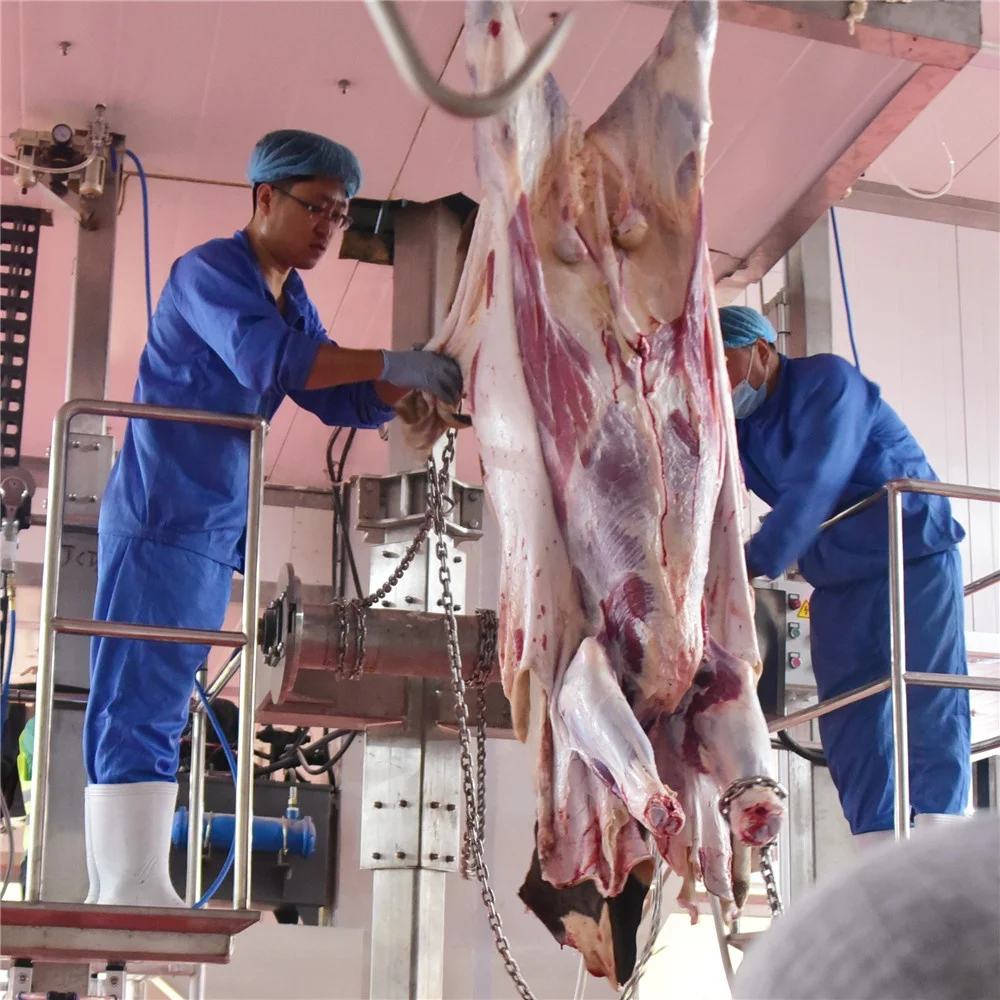 50 cows per hour slaughterhouse and slaughterhouse equipment