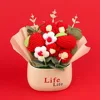 Apple Joy Apple Flower Pot (life pot)