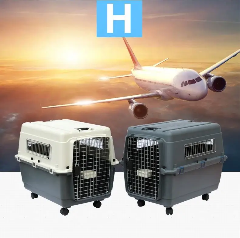 Plastic Airline Shipping Approved Pet Crates Kennel Cages Xxxl Dog