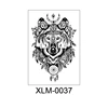 XLM-0037