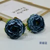 Hazy Blue