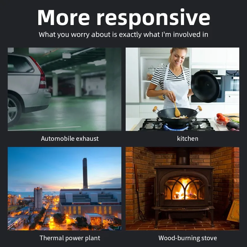 Indoor Realtime Monitoring Audible And Visual Alarm Smart Home Carbon