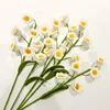 Lily of the valley white