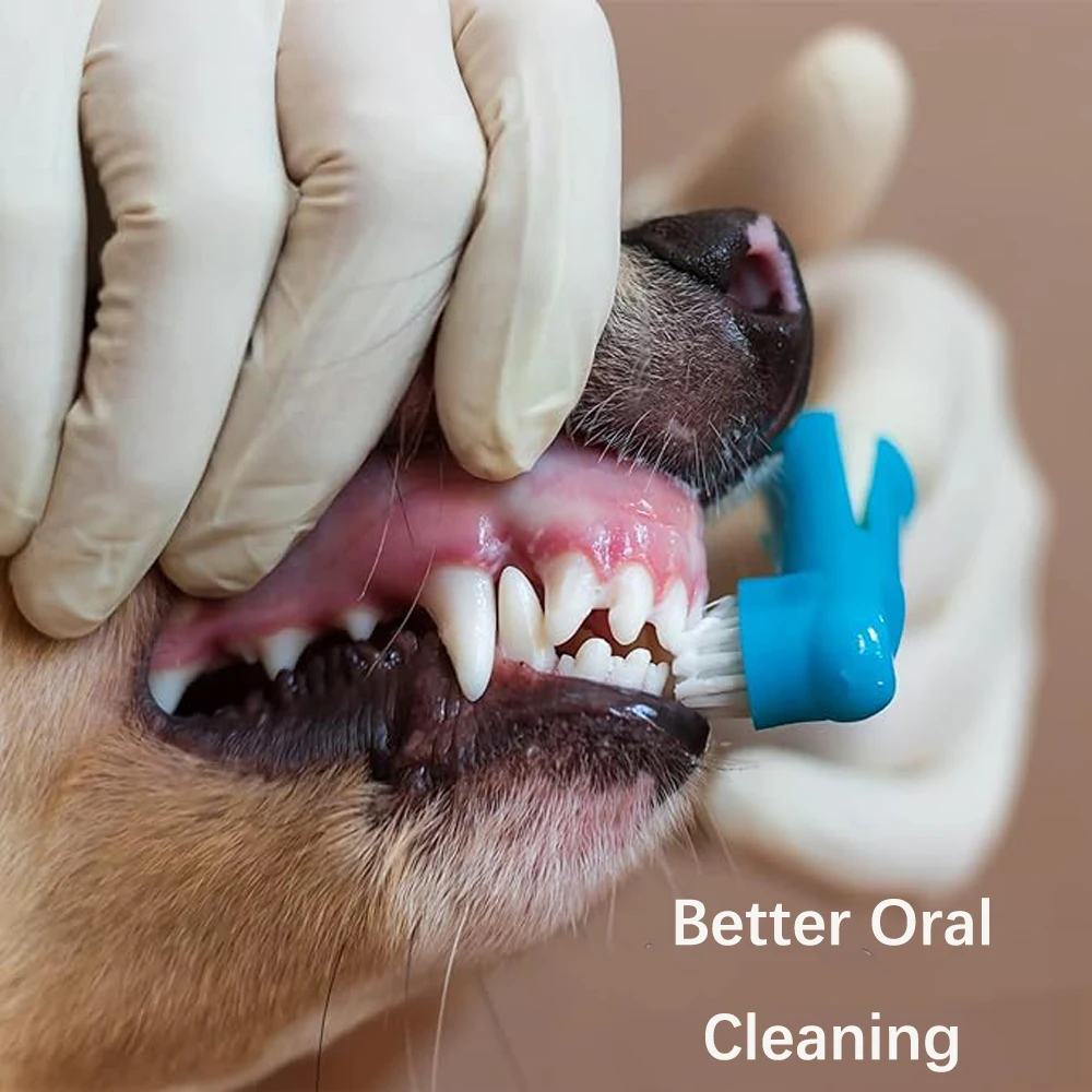 Teeth Cleaning Bristly Dog Toothbrush Review Toothbrush Sale Puppy