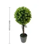 XY2504-2704 60CM