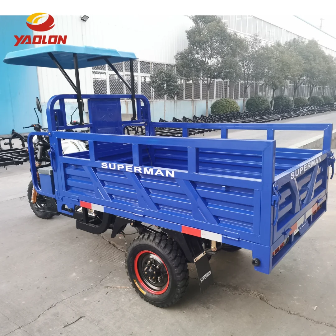 YAOLON Super Design Gasoline Tricycle 250CC Tricycle Petrol diesel Cargo Motorized Tricycle
