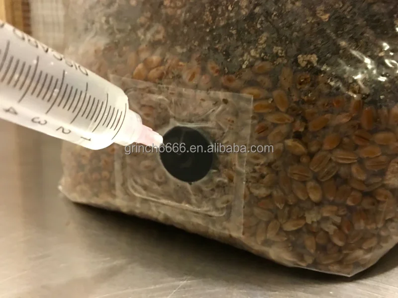 Spawn Mushroom Grow Bags With Injection Port Rye & Compost Mushroom