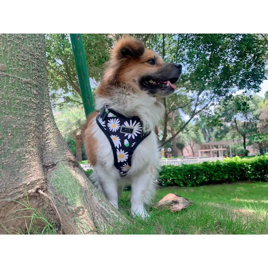 Custom Box Dog Product Adjustable Dog Harness Vest Premium Dogs Harness Accesorios Para Mascotas Correas Para Perros Y Gatos