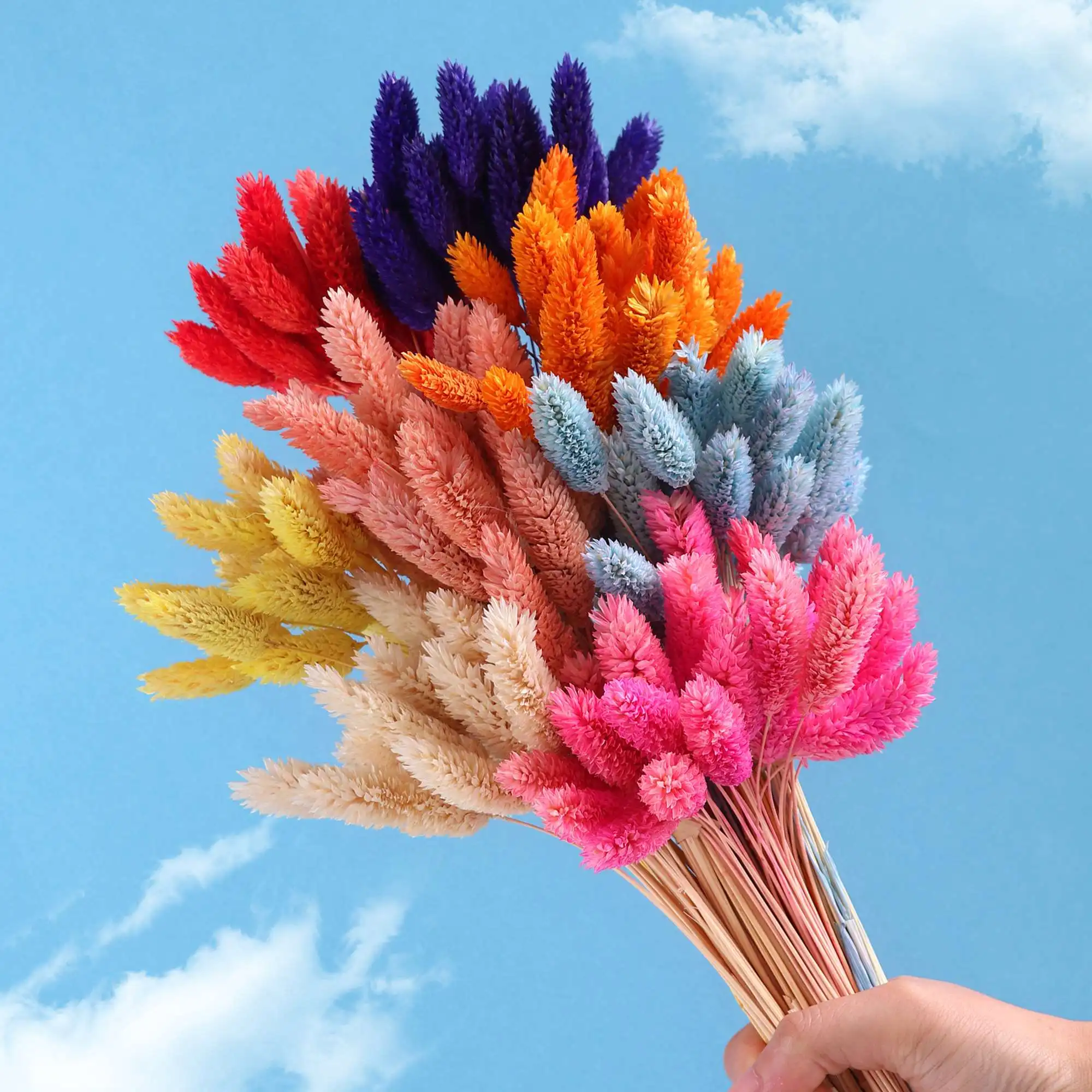 manufacturers wholesale dried jewelweed preserved natural dried