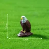 colorful Three large eagle guards