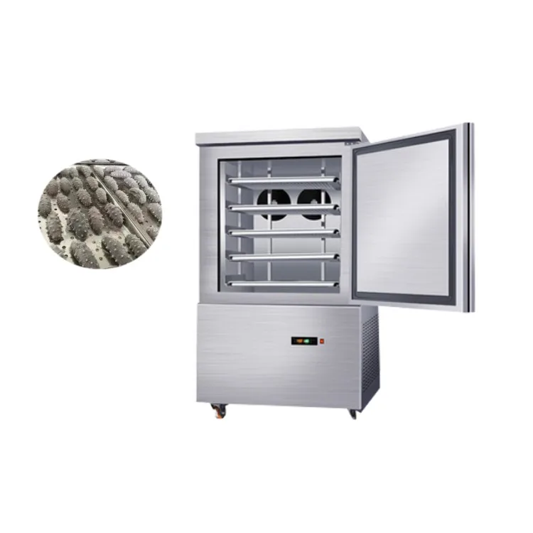 Ce Certified Minus 80 Degrees Celsius Hiron Blast Freezer for Sale