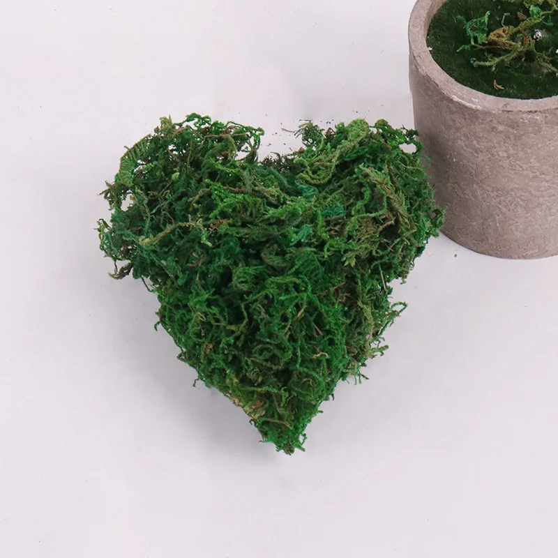 Wholesale Green Moss Real Natural Dried Moss for Orchid Vase