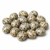 Dalmatian Jasper