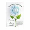 Light blue-Sunflower