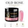 #7 ROSA ANTICA