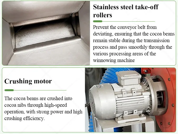 Multifunctional Peeling Machine - Efficient Cocoa Bean Processing