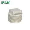 Spina maschio
