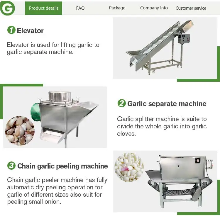 Automatic Fully Garlic Split Clove Break Peel Process Line Plant