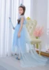 BX1700 2 blu